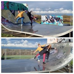 skate-parc Loisin